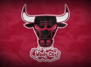 独行侠观众热烈欢呼！，哈兰德迎来五赛季出色发挥全场沸腾不已